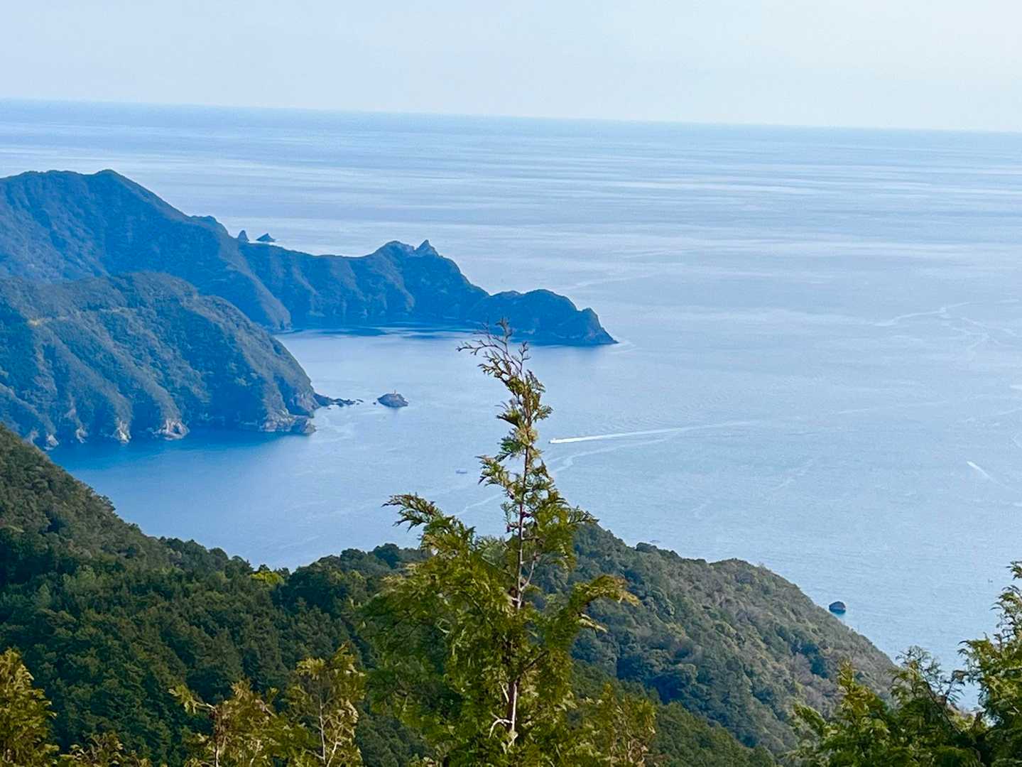 鷲下登山口-馬越峠-天狗倉山東峰-天狗倉山 往復コースの写真