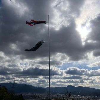 ちょっと風がありますね。