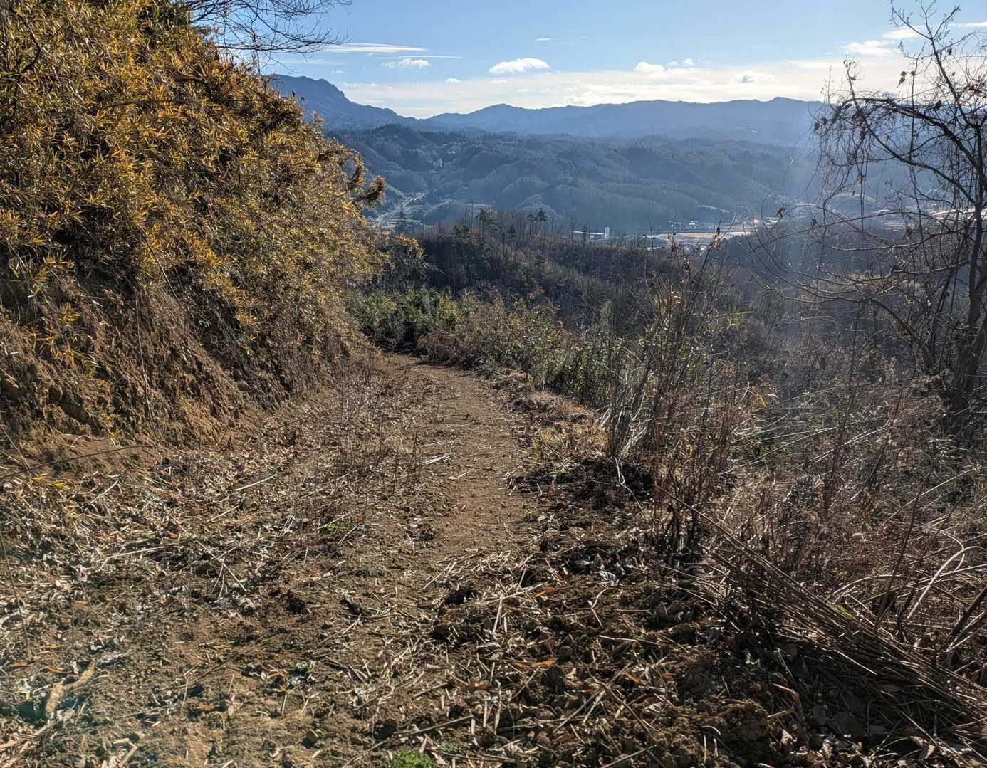 下山は、こちらの道を歩きます♬

このお山は個人所有のお山で、ボランティアの方が整備されているのだそう。
歩かせていただいたことに、感謝ですね😊