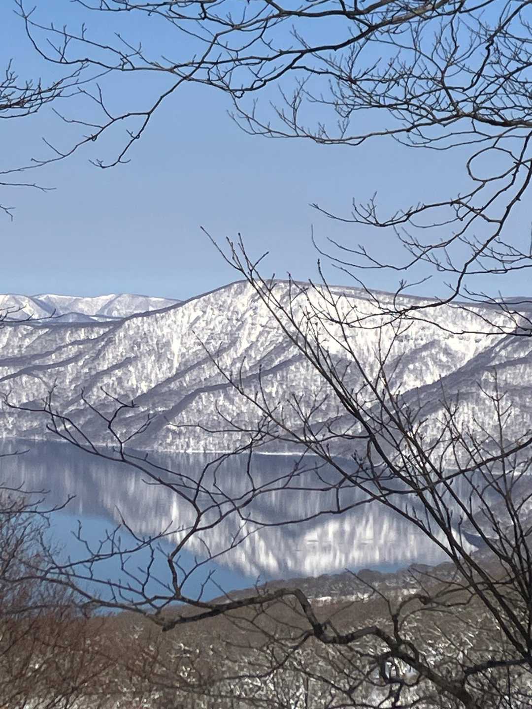 十和田山 往復コースの写真