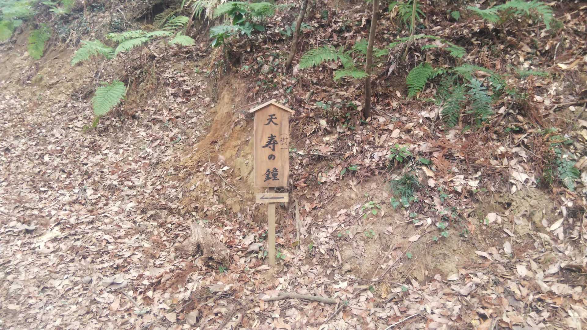 野見金山 周回コースの写真