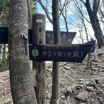 男坂と女坂　あたいは女坂へ進む