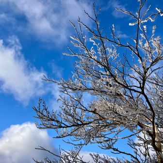綿向ブルーと霧氷❄️