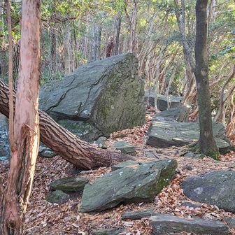 廃校になった鳥川小、ホタル保存会を中心に地域住民、岡崎市や登山会、地域企業の皆さんの絆で支える鳥川アルプス。
ココばかりは…そういう楽しみ方もあると思う様にする(笑)