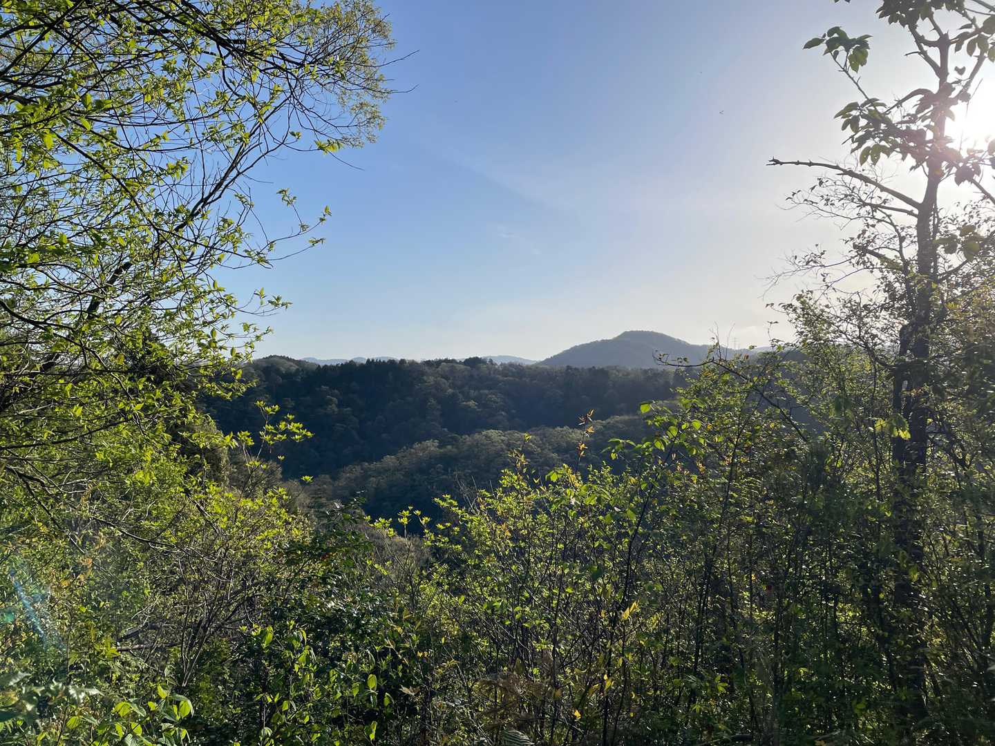 遣水観音山-遣水山観音堂 周回コースの写真