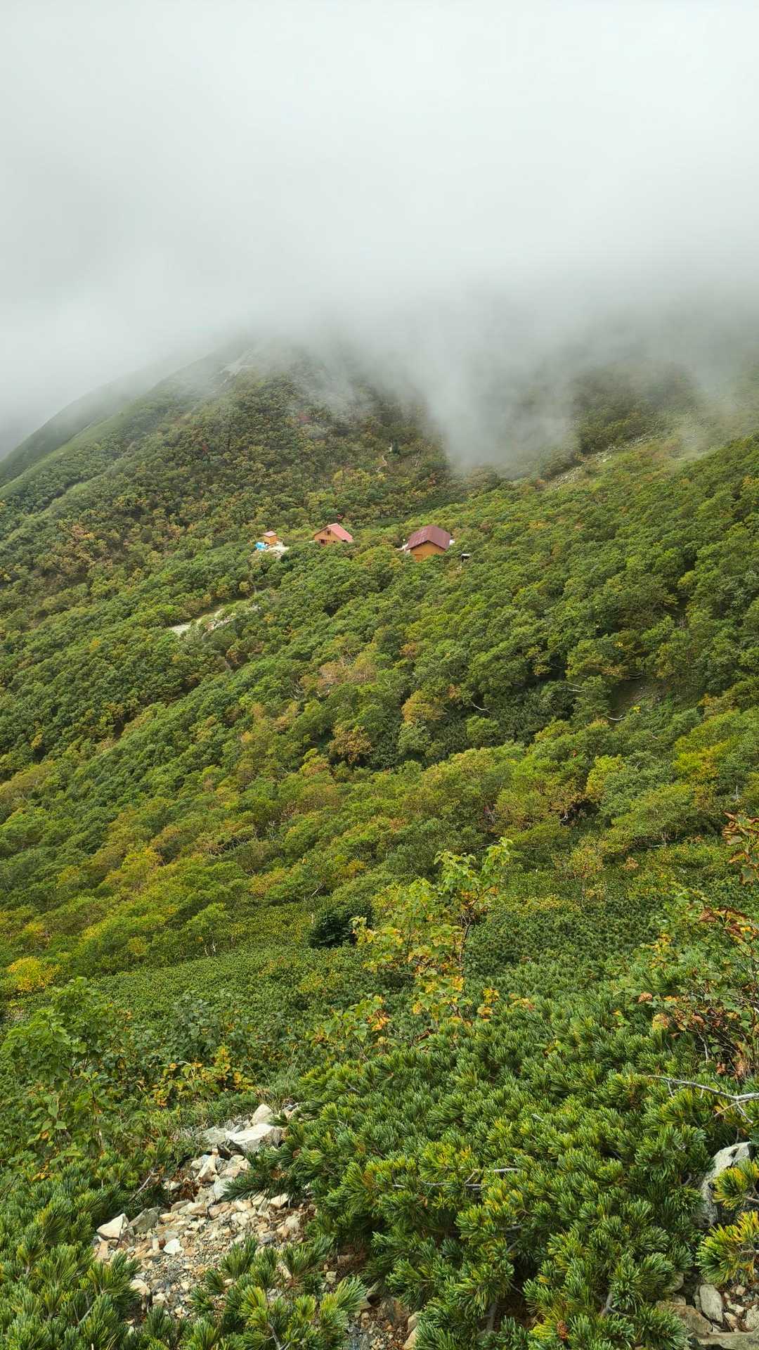 荒川小屋の屋根が見えてきました😳