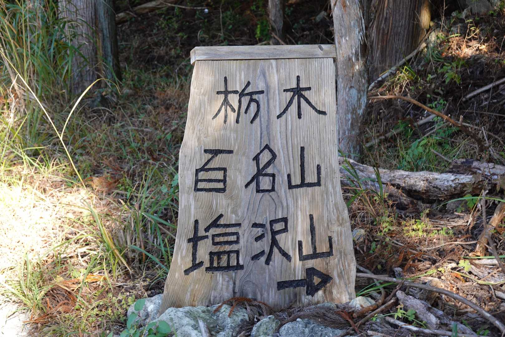 塩沢山 往復コースの写真