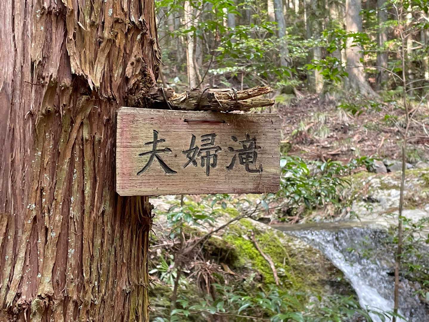誕生山 周回コースの写真