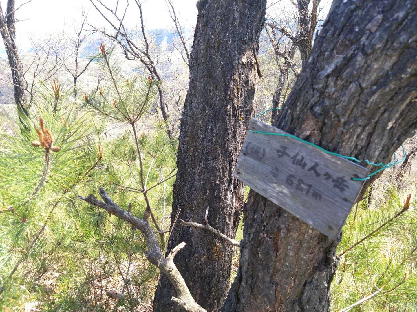 子仙人ヶ岳登頂💪