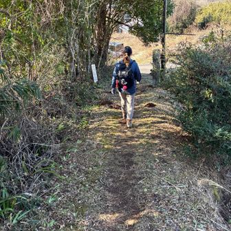 たぶん、364段かな？
妻と別で下りて2人で同じだったから、そうだと思うけど…