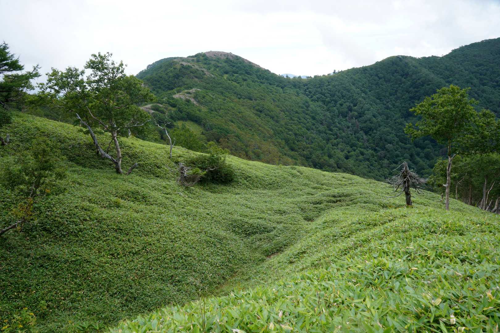 湯元温泉バス停-前白根山-日光白根山-五色山 周回コースの写真