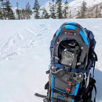 冬期閉鎖中のビジターセンター、栂池ヒュッテ前からスタートです…🚶　それほど積雪量があるわけではないんですが、スノーシューを装着しました…😅　今日はなるべくトレースがない所のそぞろ歩きを楽しみたいと思います…😄