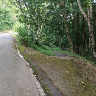 別れ道　駅への近道は右