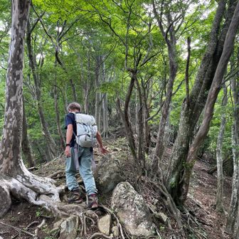 まだまだ登る