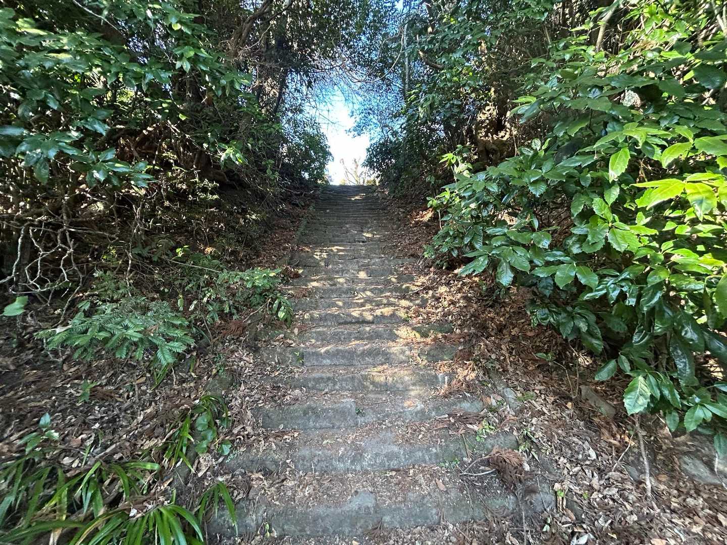富山南峰に向かいます
