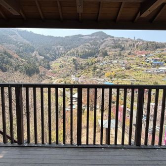 ピンクや白や黄色や💜🤍🩷💛
色とりどりです

ほわわわわぁ〜ん、な景色