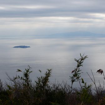 初島と伊豆大島
