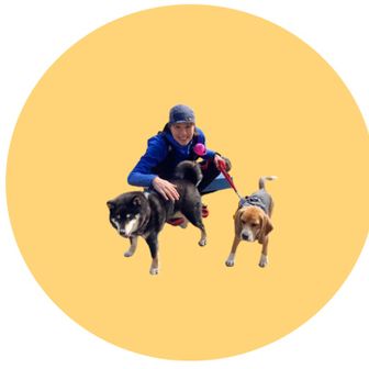 山旅犬🐶ロマチッチ　lomachicci