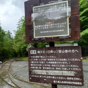 観光で縄文杉見るにも、往復8〜10時間かかるそうです⌚