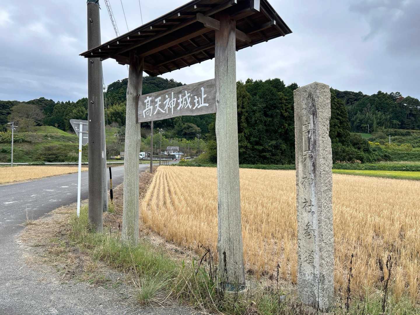 戻って来ました