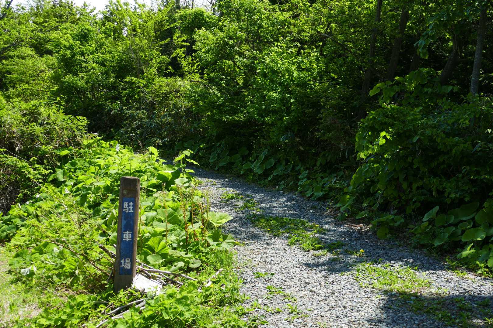 と言うことでサルエビ祭りだった高森山のおかわり登山は青森のマチュ・ピチュを見に行くことにしました😊。ここもお初です。

東岳の駐車場までは途中から細っそい林道につきすれ違い困難です😱

FF車とバック運転が苦手な人は覚悟してね(笑)

駐車場は詰めて８台くらいかな？　到着時は６台埋まってました。