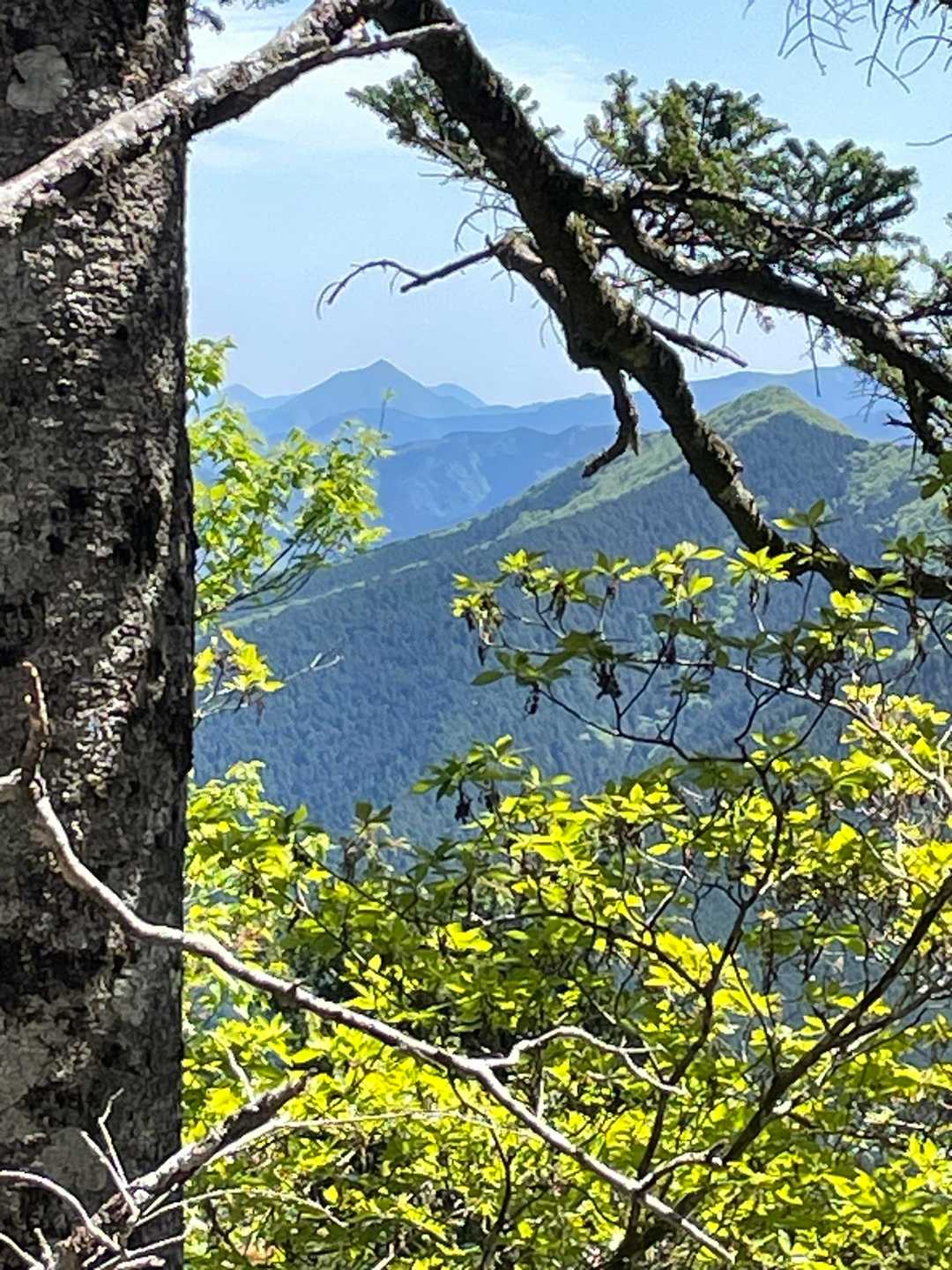 高見山