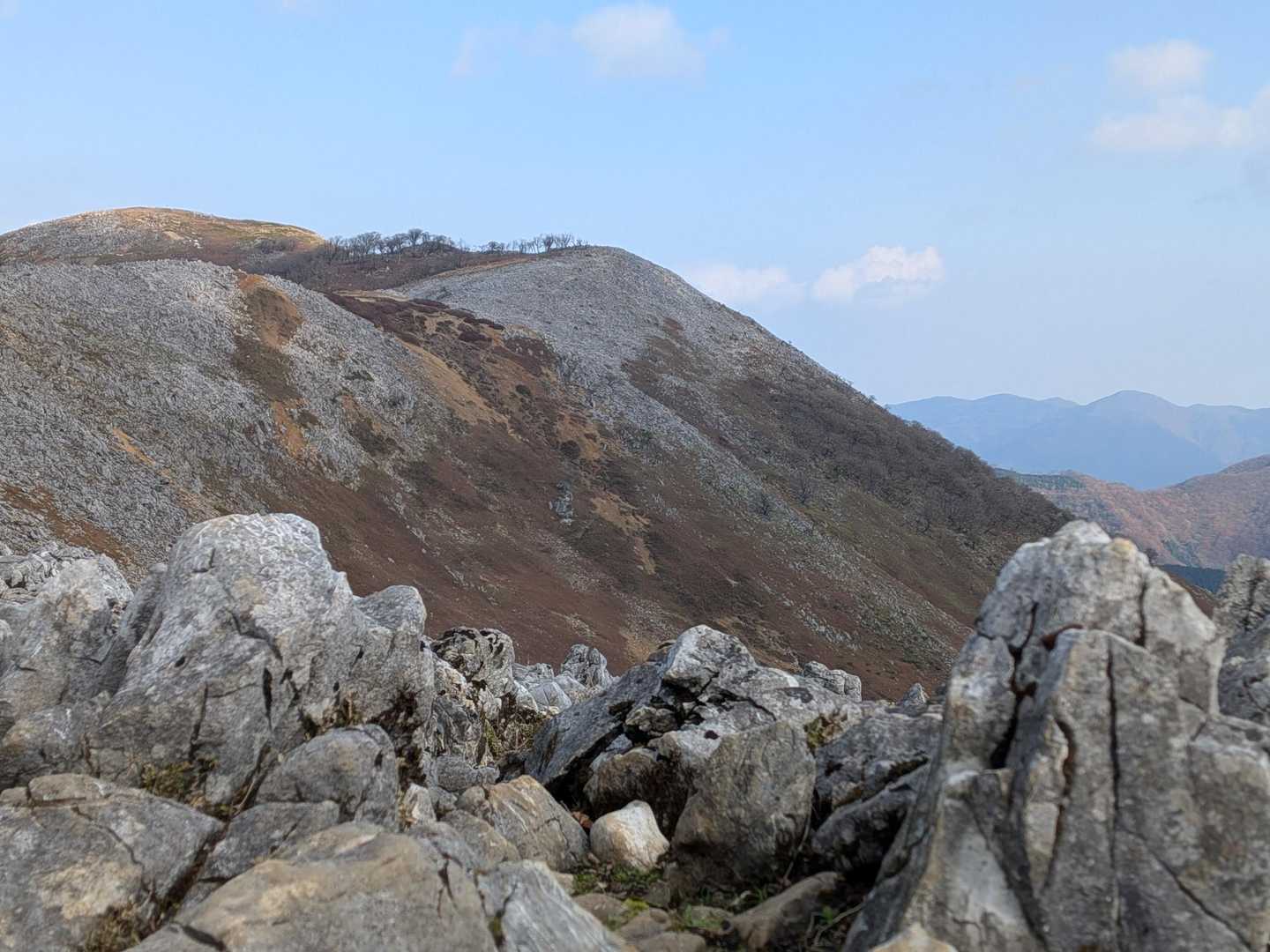 今畑登山口-笹峠-霊仙山最高点 往復コースの写真