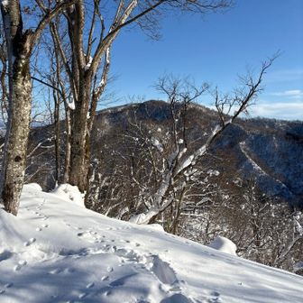 1月とは思えないんです
