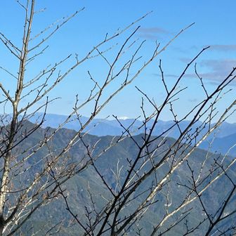 富士山がひょっこり見えます。