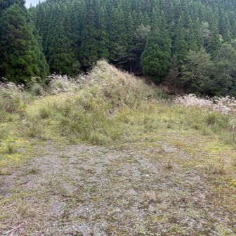 おかわり直ぐ近くの矢筈岳へ