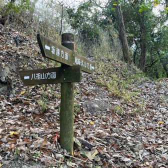 最初は八祖山から