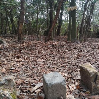 行者ヶ森への分岐付近から
初めての尾根歩き

でも
残念なことに
しっかりと踏み跡がありました

少しショートパスでき
高塚山（三等三角点485ｍ）に到着