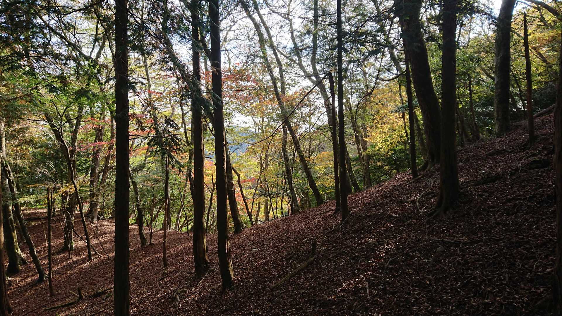 古処山登山口-古処山-屏山-江川岳-宇土浦越-馬見山 周回コースの写真