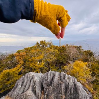 これも真似して（笑）