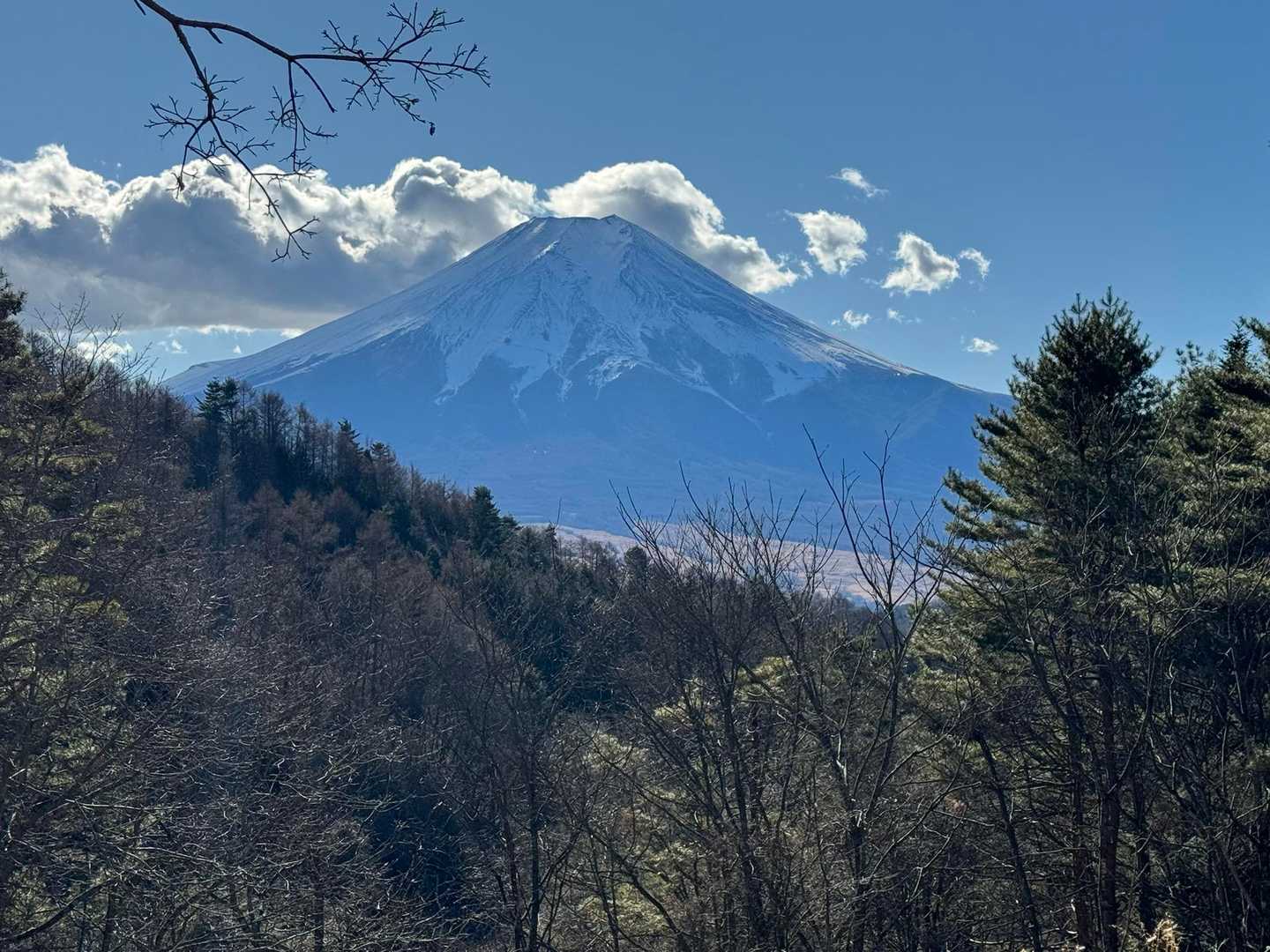 スタート時点から新宿富士山ドーン