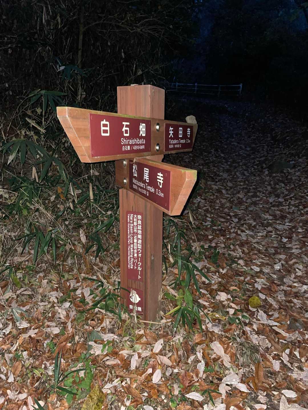 登山口の駐車場からスタートして矢田寺方面へ♪