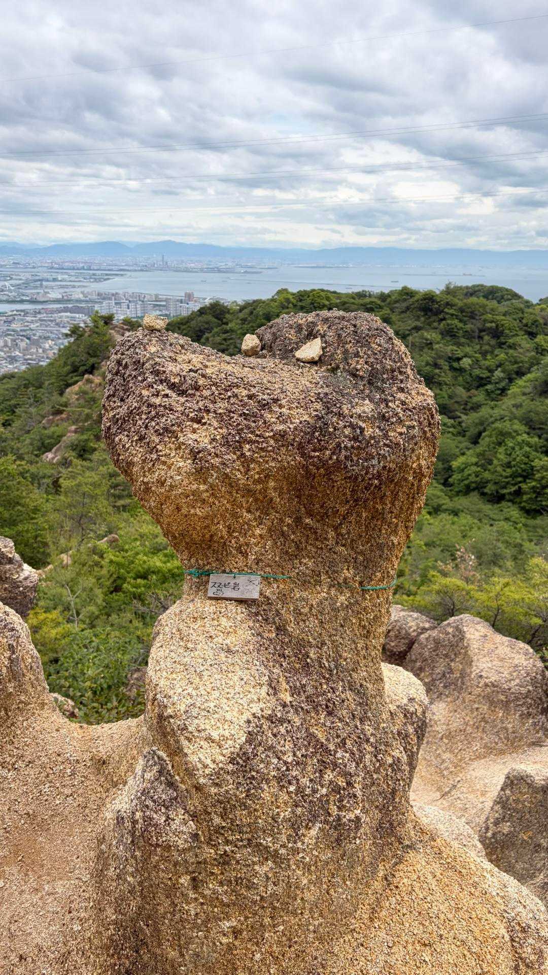 六甲山へGO✊ 五助山・七兵衛山・六甲山・愛宕山 / masaの登山データ
