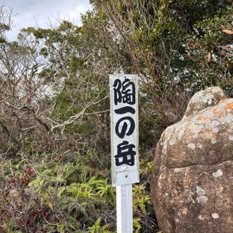 ピークなのか、そうではないのか⁉️