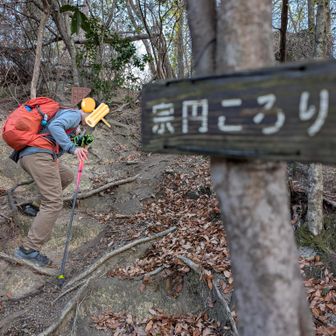 宗円山の先には宗円ころりという名の急斜面🤸往復します
今日は私は一度も転びませんでした😁ﾜﾀｼﾊ