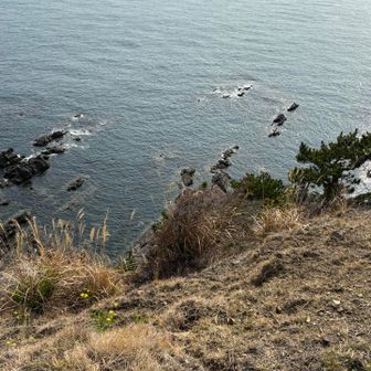 灯台跡から眺めた海🌊