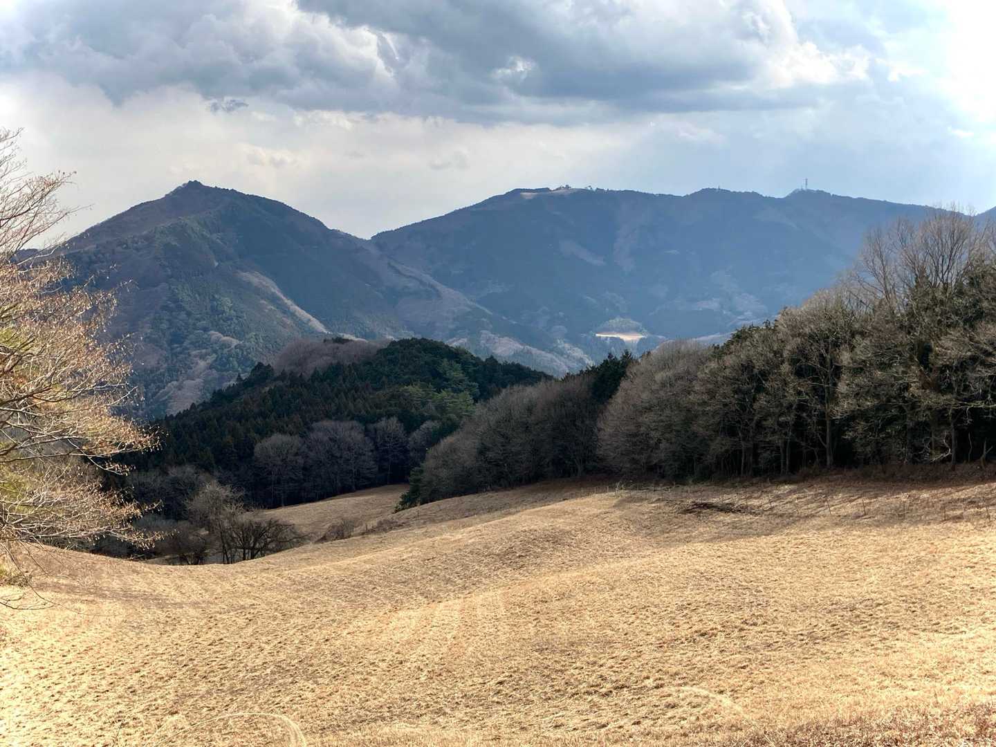 定峰峠に向かう左側の有刺鉄線の向こうに

高原からの、笠山と堂平山。
なるほど、あぁ、綺麗だな。

度々立ち止まり、眺め、旧定峰へ。