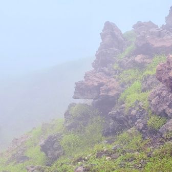 　　　口を開けたゴリラ岩🦍