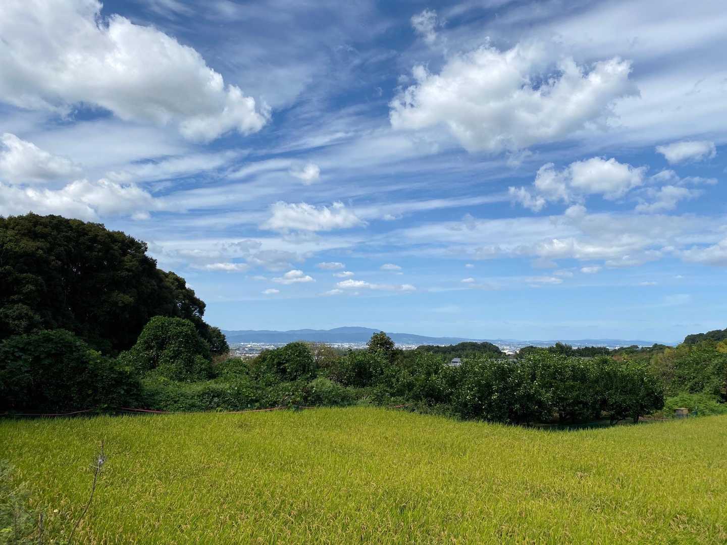 良い天気(>▽<) 
まほろば だにぇ～✨️
