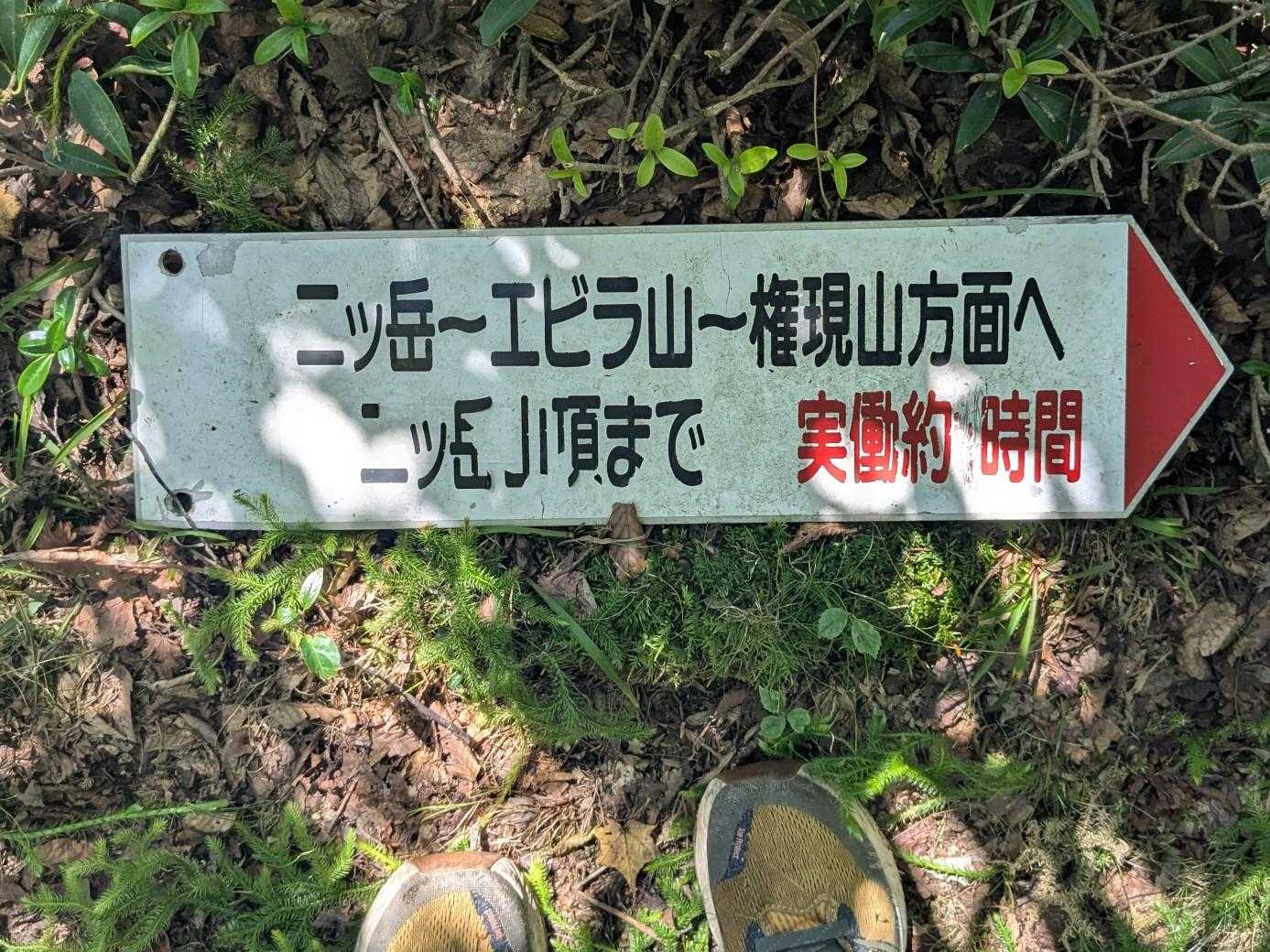 1時間で行けるかな…😅