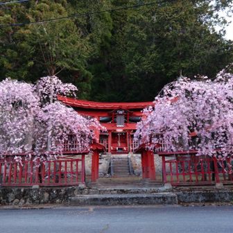 金峰山（日本百名山）御嶽古道〜八幡尾根 / Amarilloの登山データ