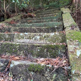 古い階段だった。昔々から沢山の方々が雷山神社迄通われ〜たんでしょうね