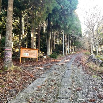 紅葉🍁の落ち葉がたくさん