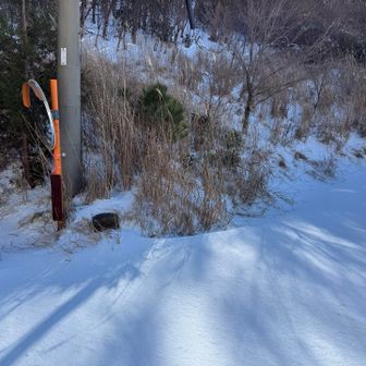 いきなり膝下までの雪。