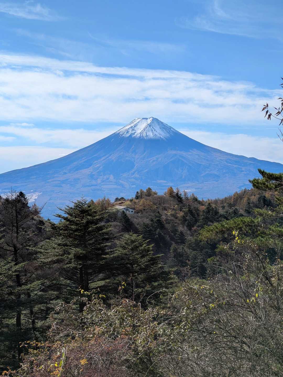 三ッ峠山登山口-三ッ峠山-木無山 往復コースの写真