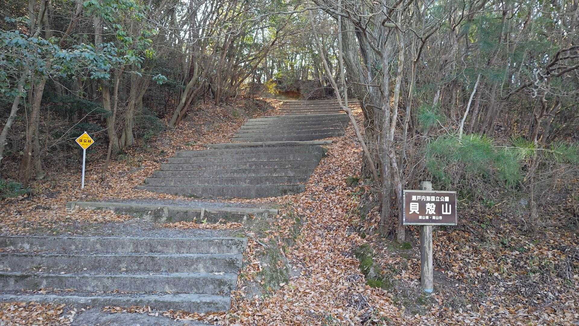 ようやく笑